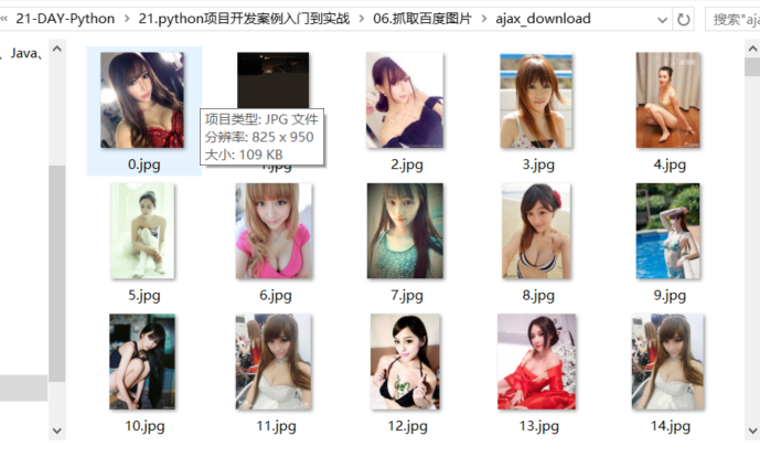 ../../_images/download_sougou0002.png